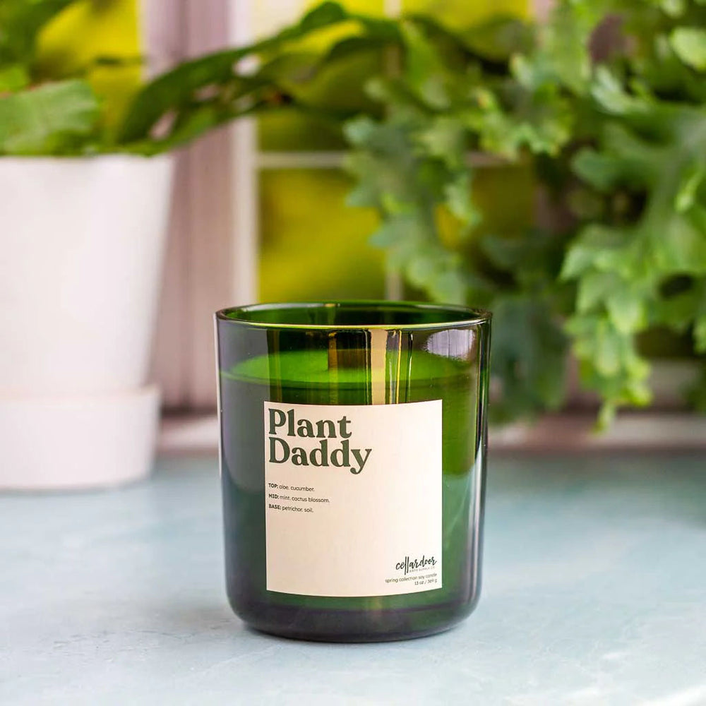 The Plant Daddy Candle in a green glass holder sits on a light blue surface, with leafy green plants and a white pot blurred in the background.