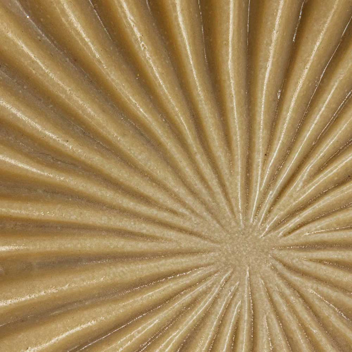 Close-up of a mushroom cap's underside, featuring beige gills arranged like the radiating patterns of Pleated Bowl Decor, with a subtle shine that draws toward the center.