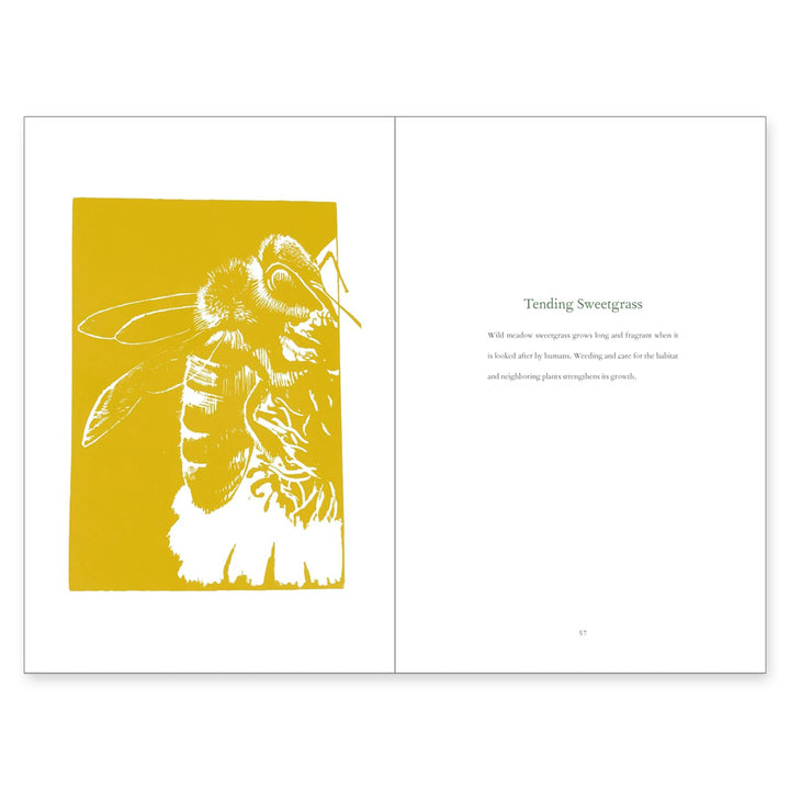 A book spread features a yellow and white bee illustration left, and text titled "Tending Sweetgrass" right, sharing wisdom inspired by *Braiding Sweetgrass: Indigenous Wisdom, Scientific Knowledge and the Teachings of Plants*.