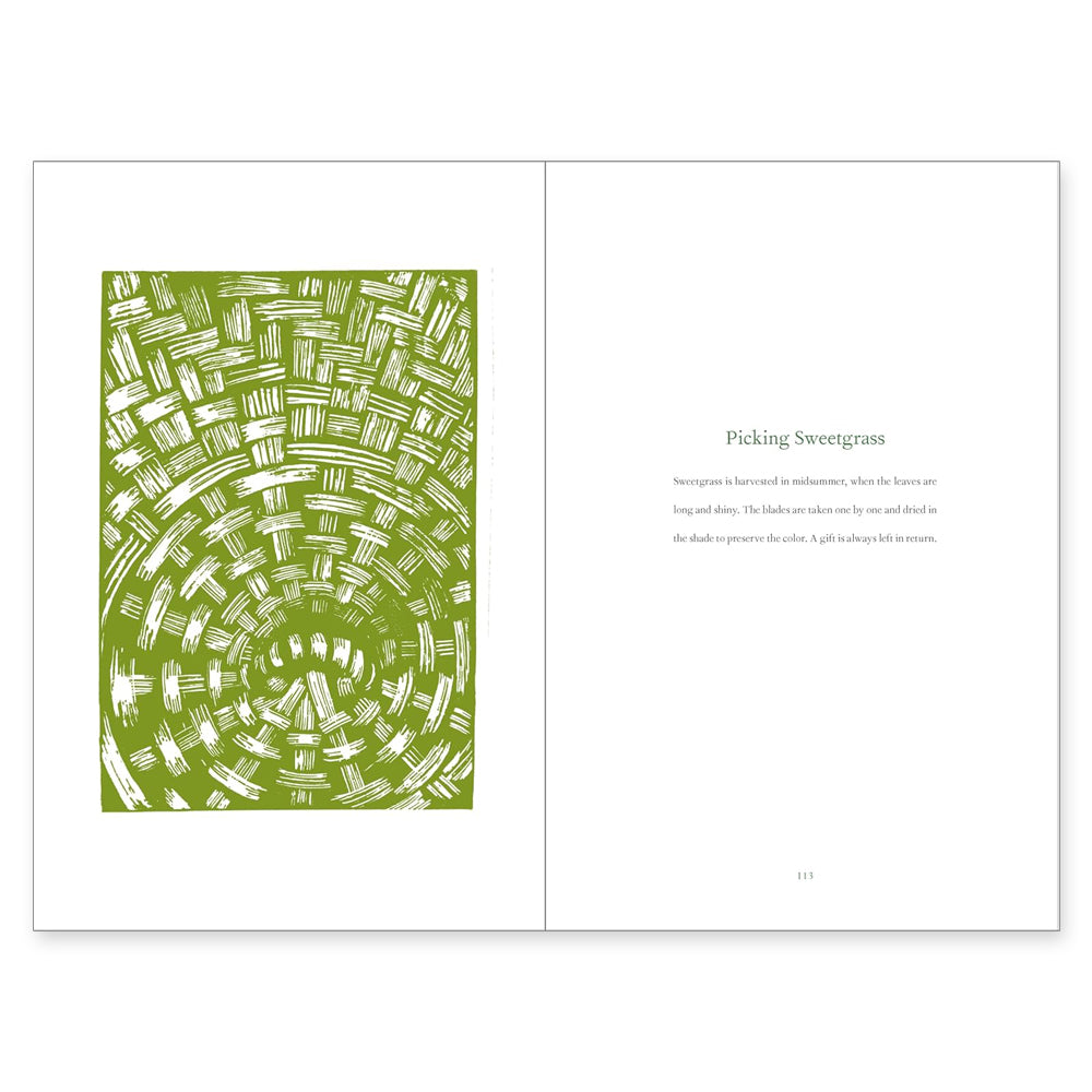 An illustrated book spread inspired by "Braiding Sweetgrass: Indigenous Wisdom, Scientific Knowledge and the Teachings of Plants" features a green and white basket pattern beside text titled "Picking Sweetgrass," celebrating indigenous harvesting wisdom.